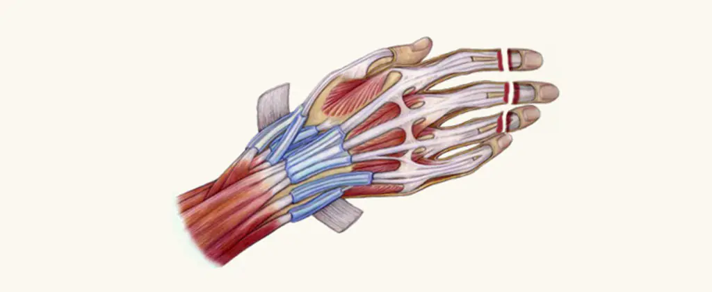 Microvascular surgery in Indore by Dr Animesh Damani hand reconstruction procedure